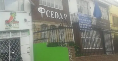 COLEGIO CENTRO DE APLICACION PEDAGOGICA  CEDAP